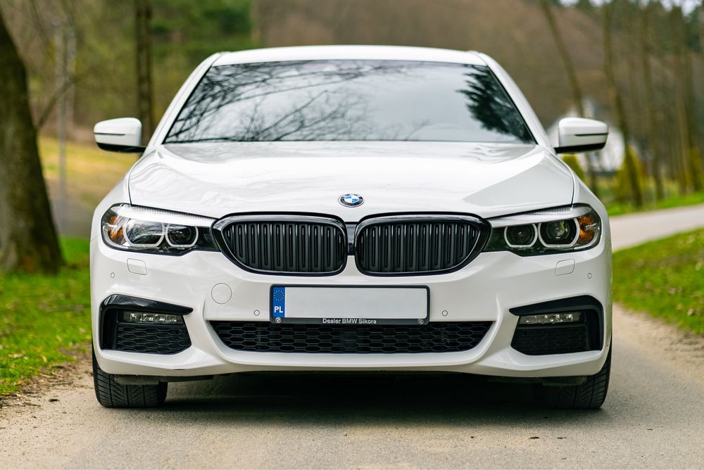BMW Seria 5 xDrive salon PL
