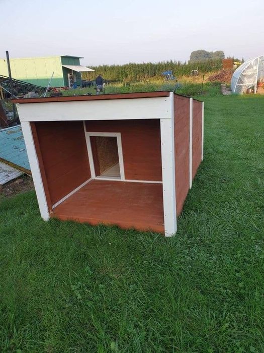 Budy dla psów od ręki!