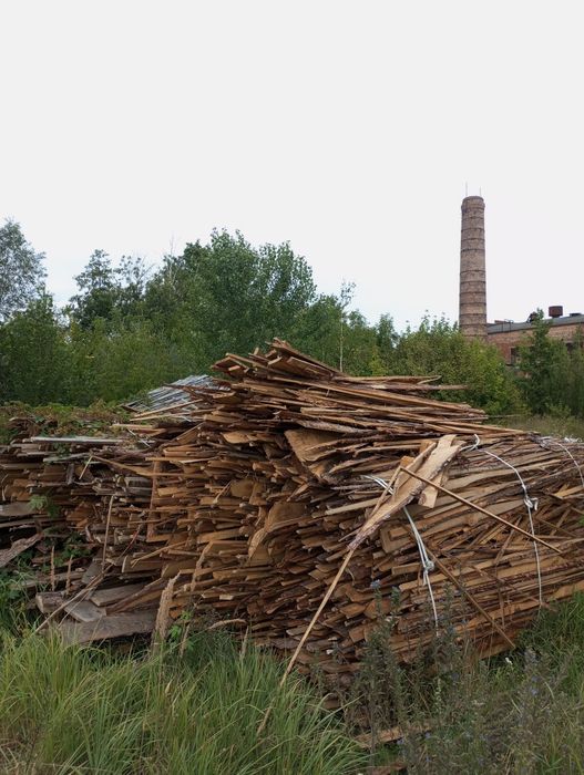 Продам дрова різних порід
