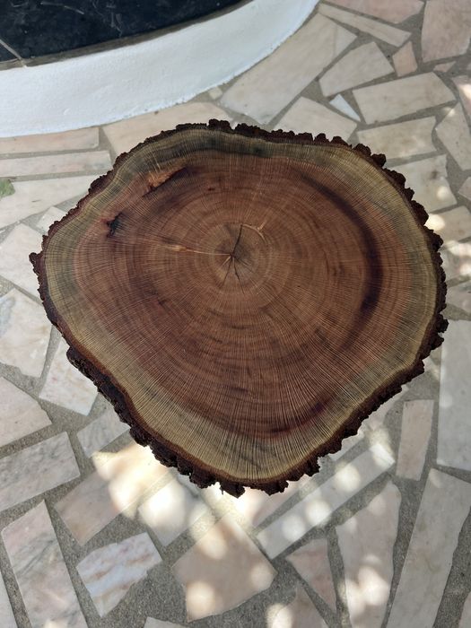 Mesa em troco de madeira