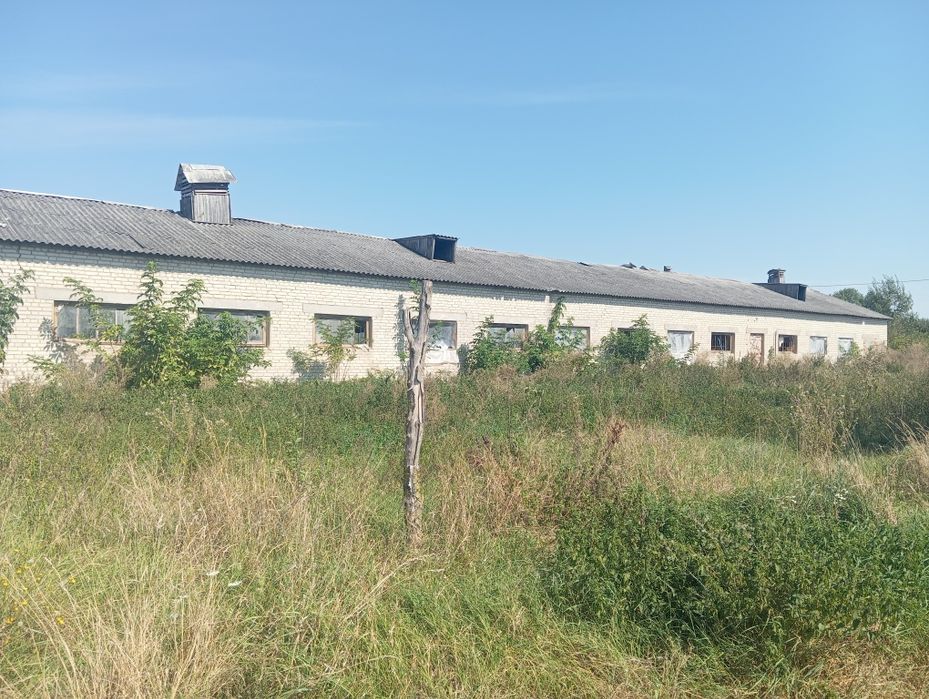 Свиноферми і бойня