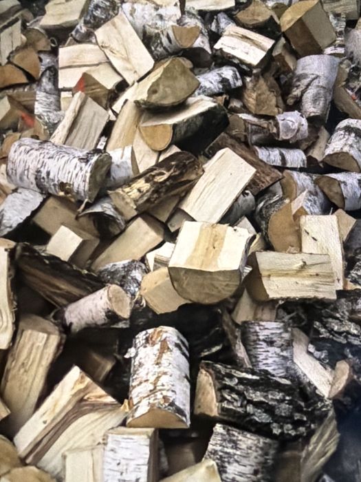 Brzoza drewno opałowe, workowane