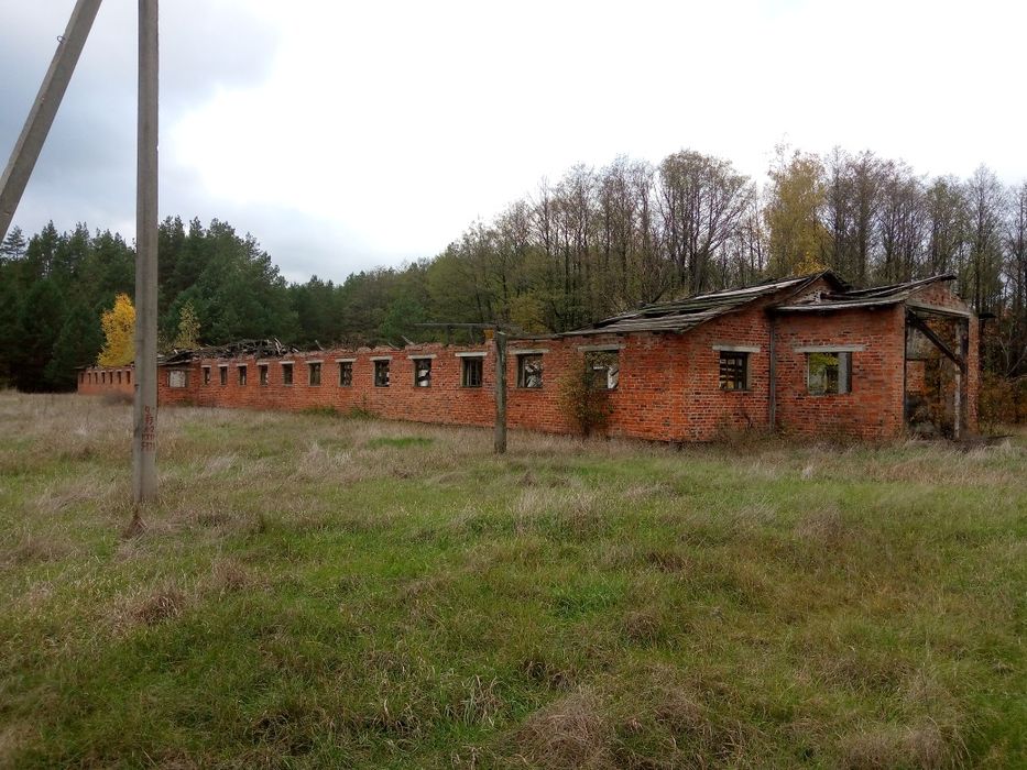 Продам с.Фортунатівка