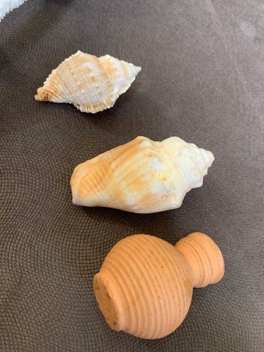 ЛОТ для аквариума керамика и коралл, ракушки. Каменный аэратор