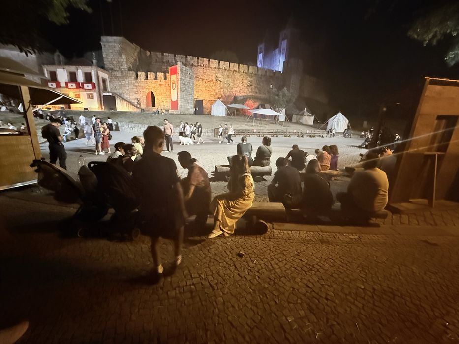 Cabritos boer puros melhor oferta