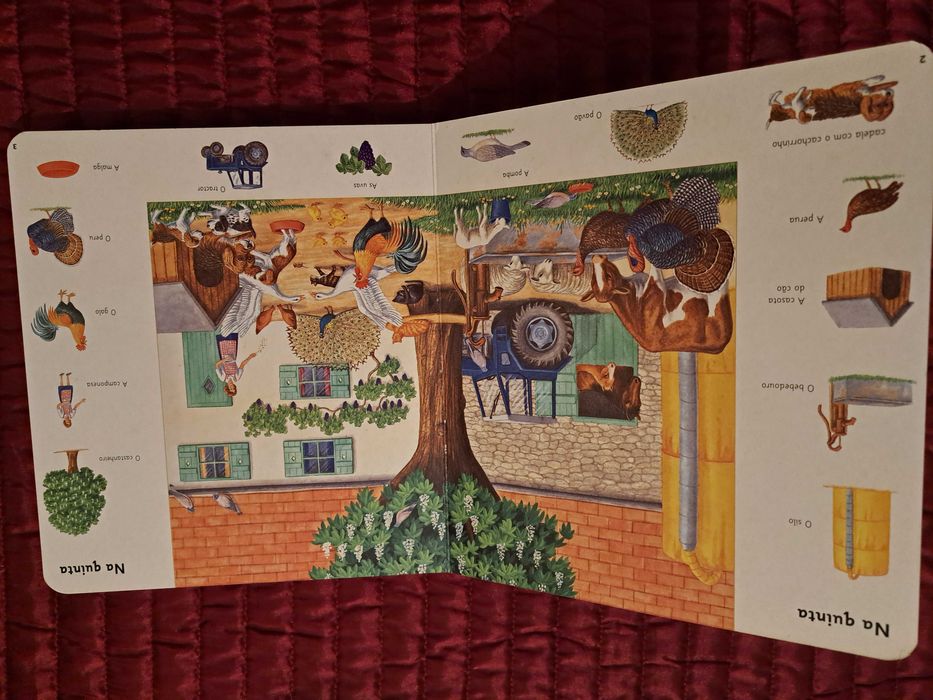 O meu livro colorido do campo - Dicionário infantil