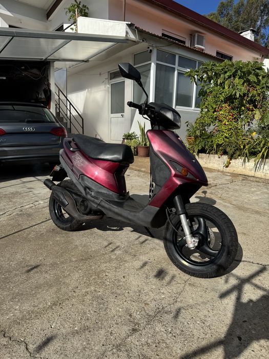 Macal CY 50