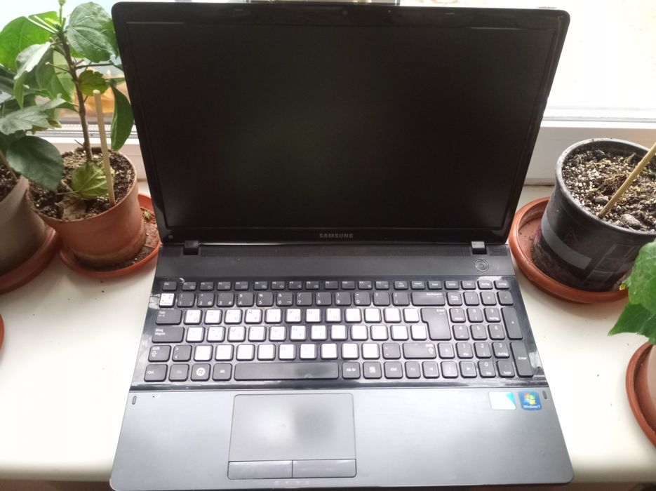 Ноутбук Samsung недорого