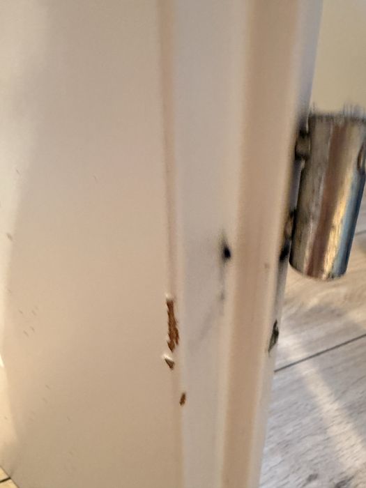 Drzwi łazienkowe wewnętrzne LEWE 80cm białe