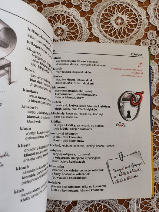 Nowa książka: Ilustrowany słownik ortograficzny.  Szkoła Podstawowa