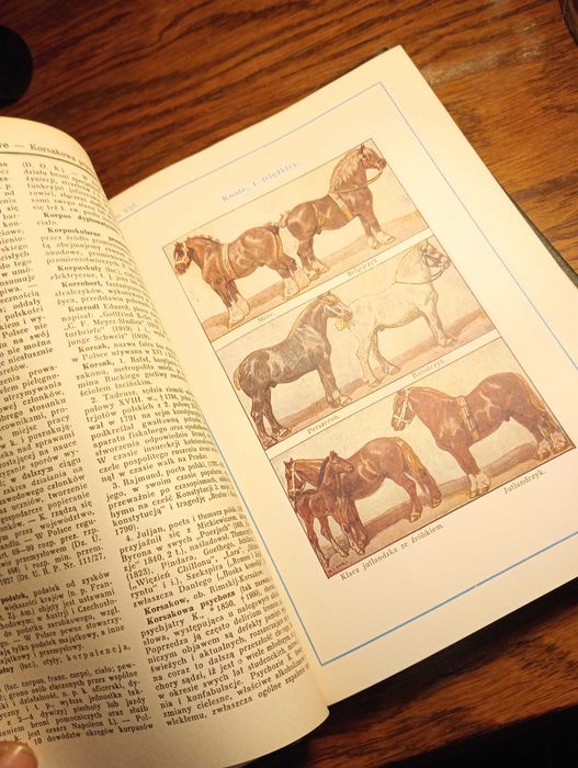 Encyklopedia Gutenberga