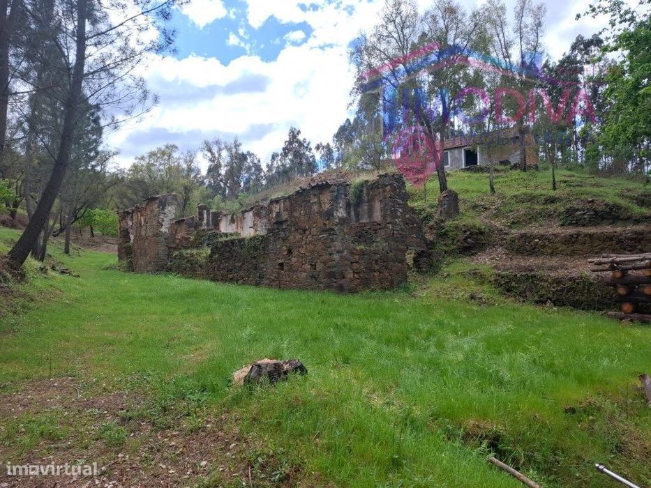Propriedade com 3 hectares