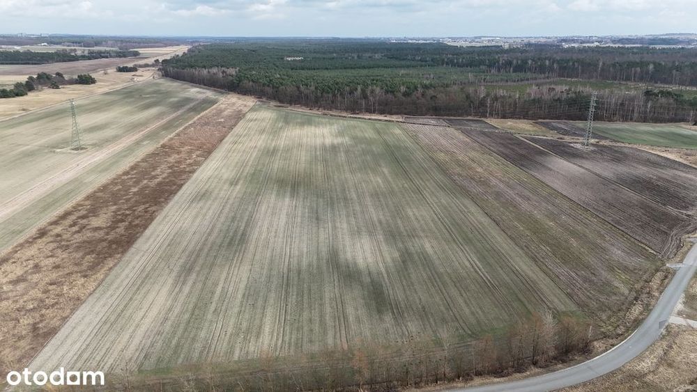 Działka rolno inwestycyjna - Widok 3