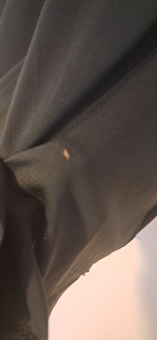 Camisola futebol do Benfica