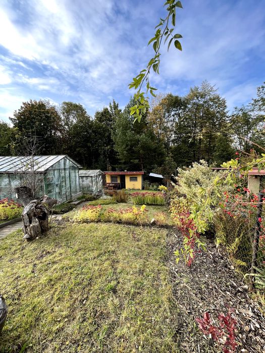 Ogródek Działkowy ROD ,,KĘPA'' Katowice ul.Ligocka