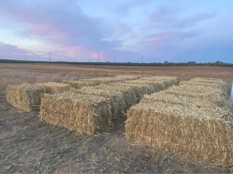 Venda de fardos de feno