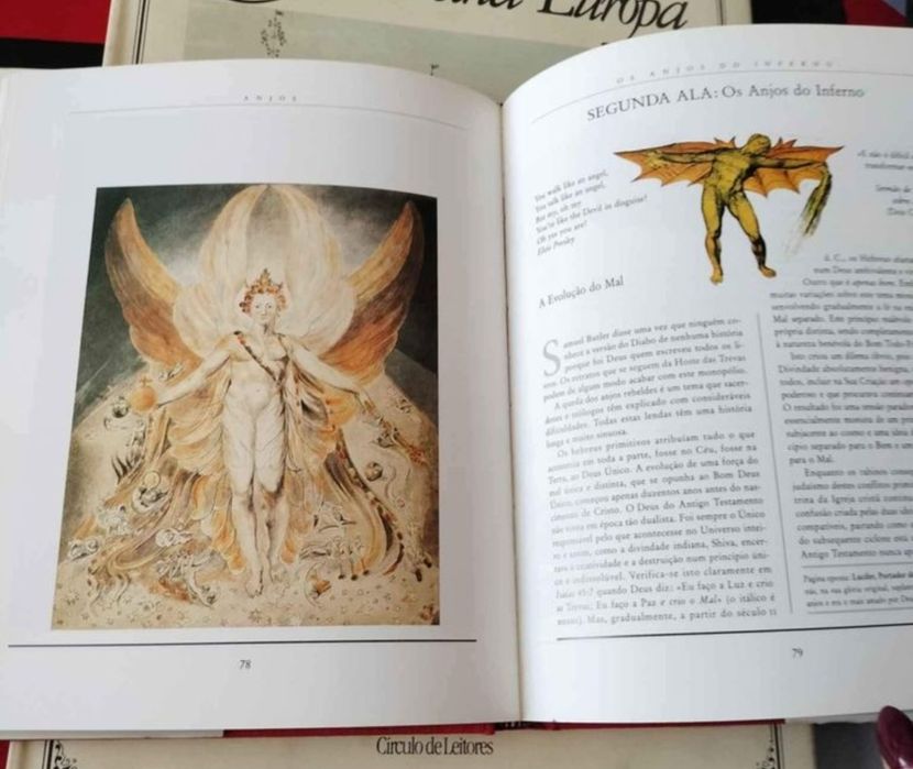 Livro Anjo pinturas