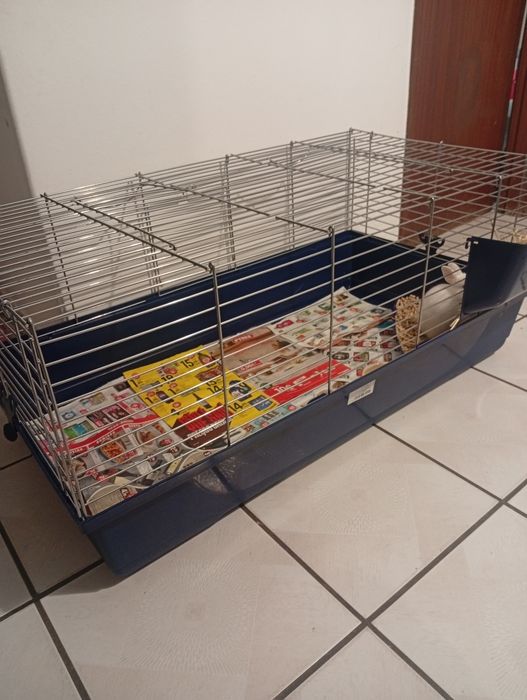 Gaiola para coelho anao
