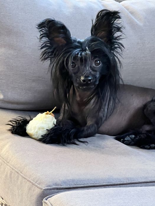 Мальчик КХС. Голый.