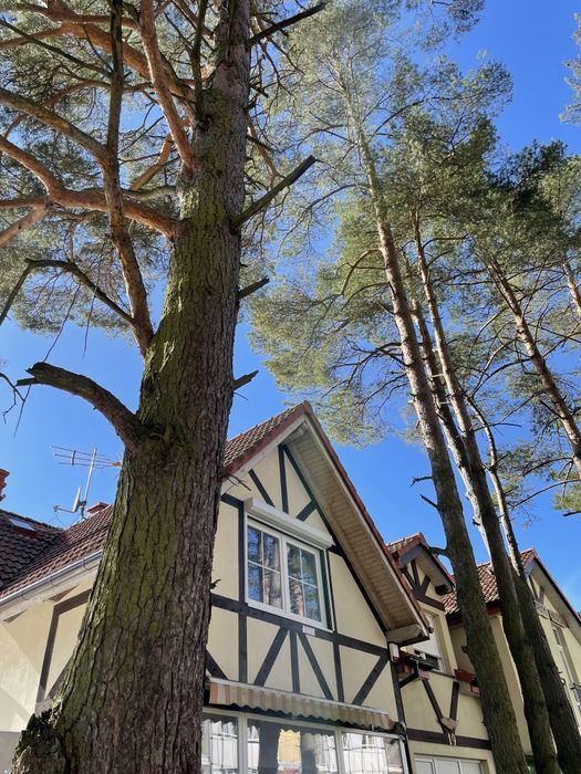Domek wakacyjny nad morzem  w Poddąbiu  Morski Sen