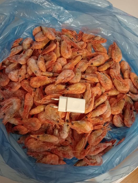 Sprzedam krewetki.opakowanie 5kg