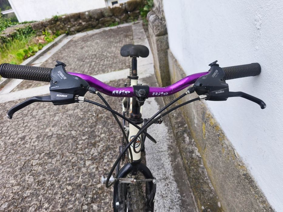 Bicicleta roda 25