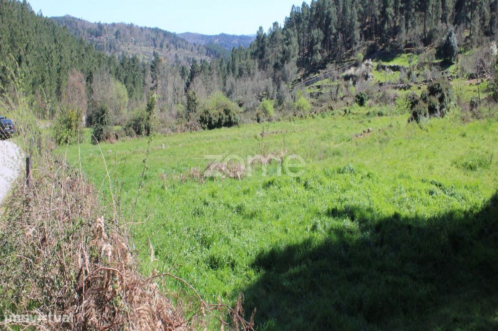 Terreno Único à Venda no Coração do Vale do Demo – Moimenta da Bei...