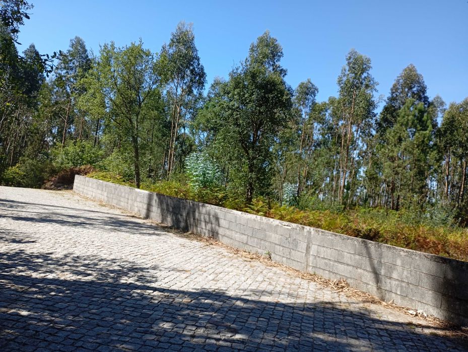 Moradia no Monte Castro