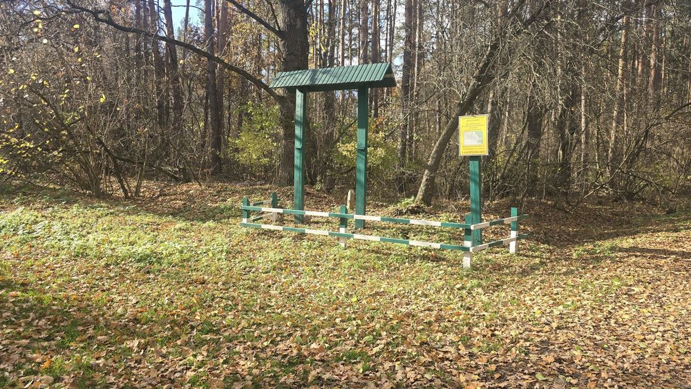 Продаж ділянки с. Бистри, крайня до лісу (26140646)