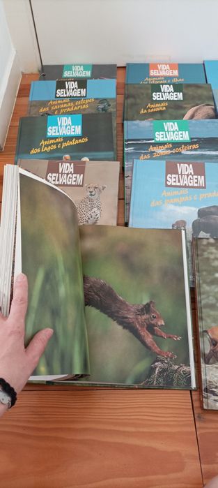 Coleção 14 livros novos "Vida Selvagem '