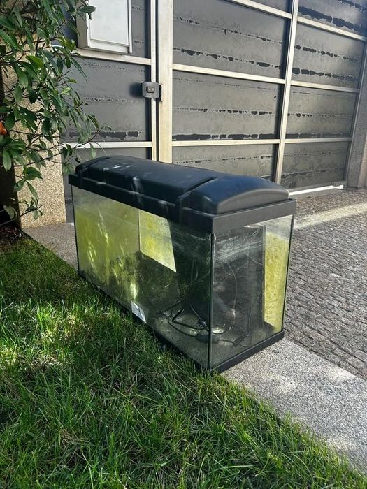 Aquário 50 Litros