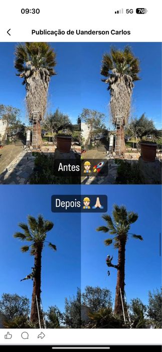 Serviços de pintura e reparaçoes entre outros Profissional dconfiança