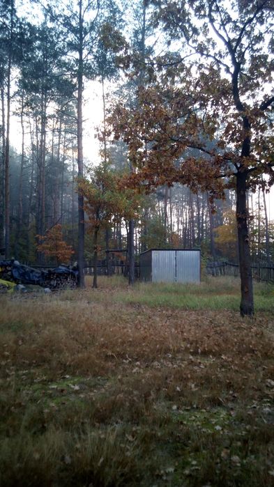 Działka Ryczywół,Wola Chodakowska 6500 mkw