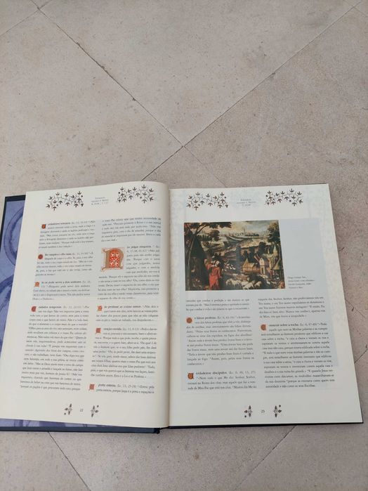 Bíblia Sagrada (Novo Testamento Ilustrado)