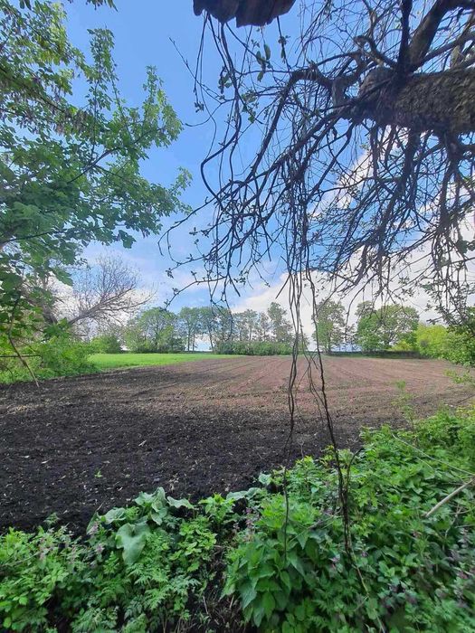 Земельна ділянка.