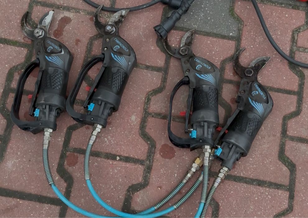 Sekator pneumatyczny campagnola victory włoski sekatory elektryczne