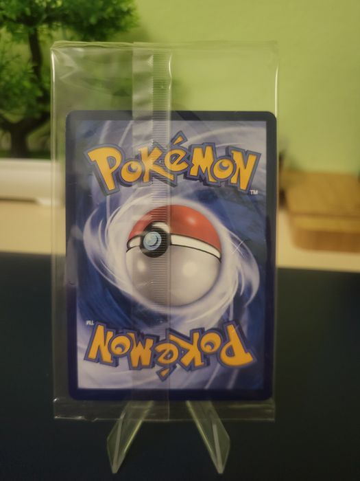 Karta Pokemon TCG Chinese with case Charizard