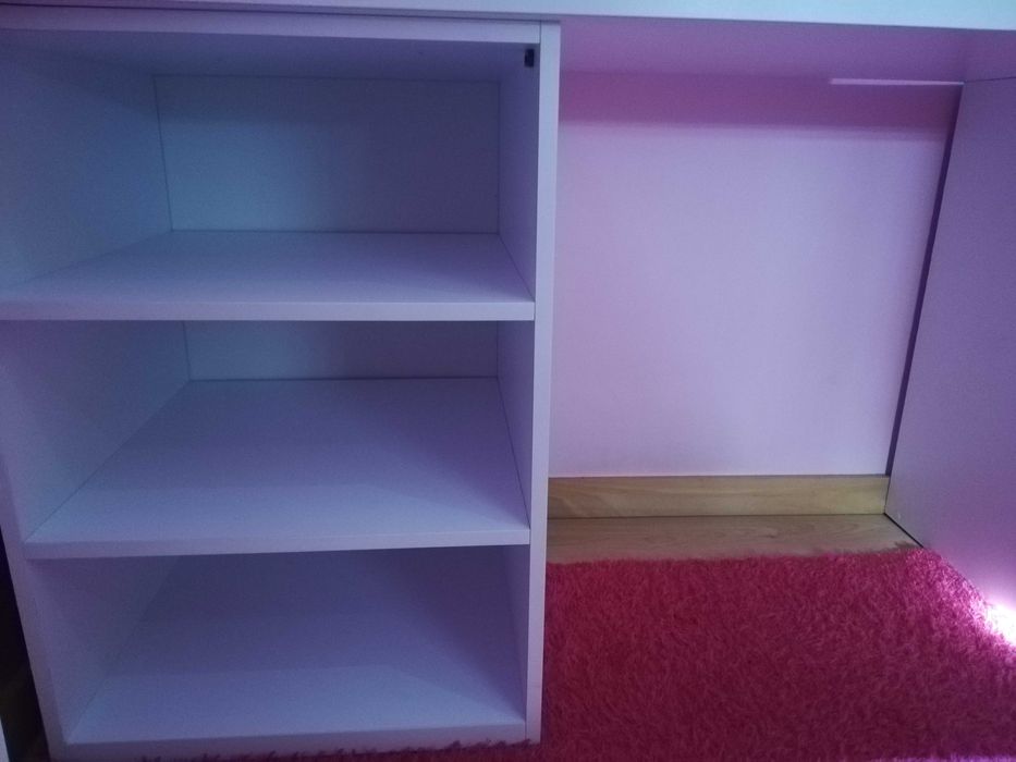 Secretária elegante robusta