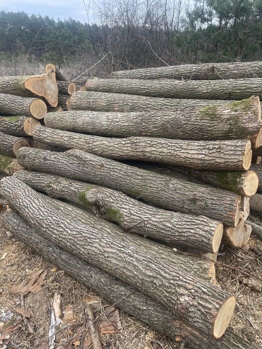 Продам дрова різних порід є доставка