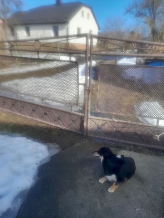 Вхідна брама з хвірткой