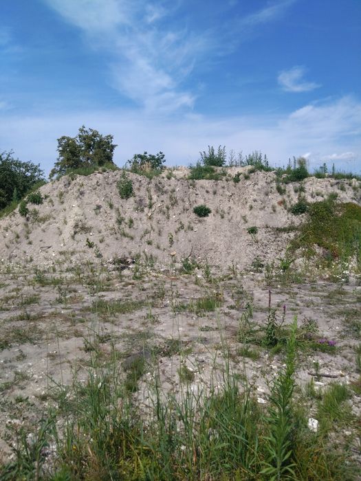 Ziemia z wykopu stawu