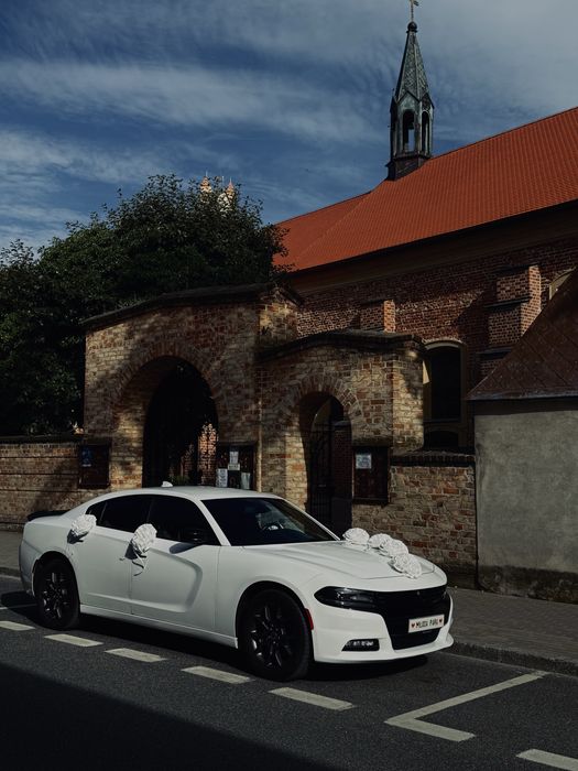 Auto do ślubu biały Dodge Charger 18'