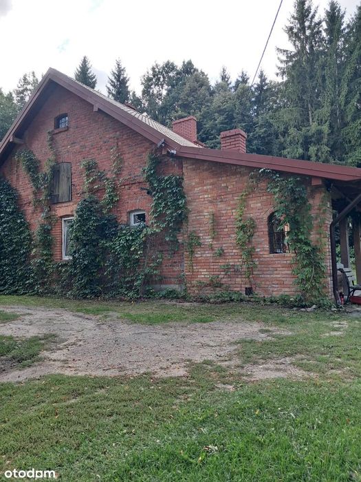 Klimatyczny dom w stylu wiejskiej chaty – Olkowo