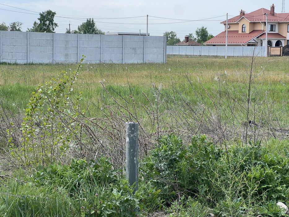 Пр уч 12с Зазимье Сады рай Авоськи