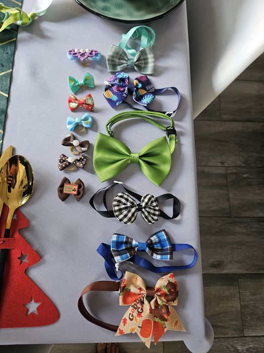 Sprzedam akcesoria dla pieska