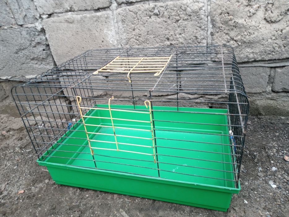 Klatka dla królika