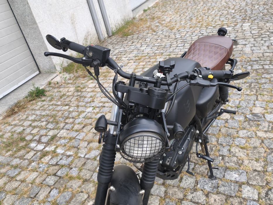 Mutt Akita Full Black