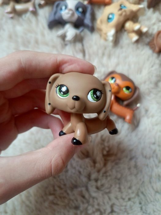 Lps jamnik #675 i monopoly