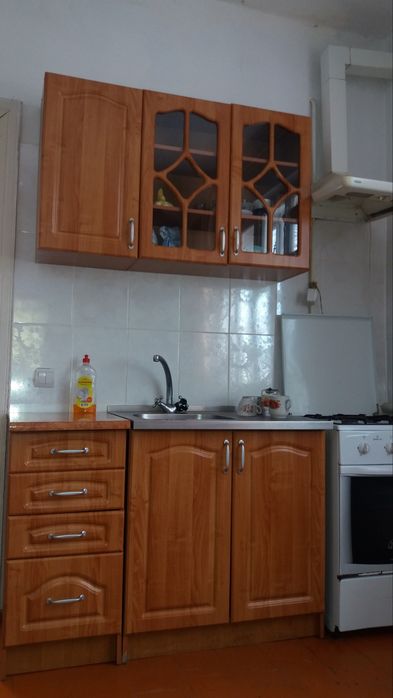 Будинок у селі з газом, землею та господарством