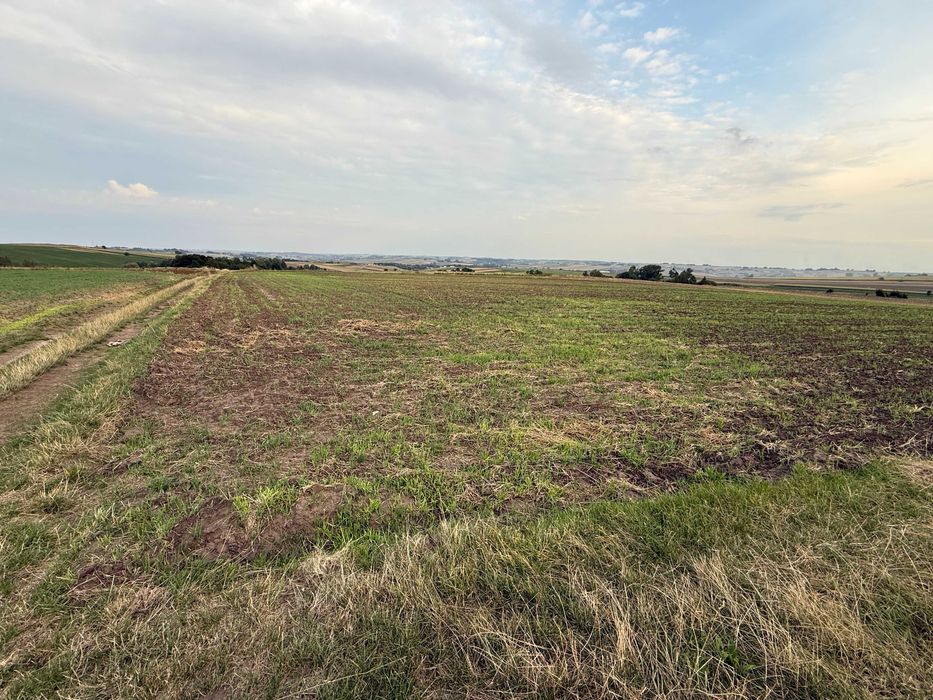 Sprzedam Pole Orne 1,15 ha cały czas uprawiane - Widok 3